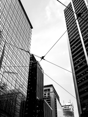 PiGe solution Gestion de projet BIM